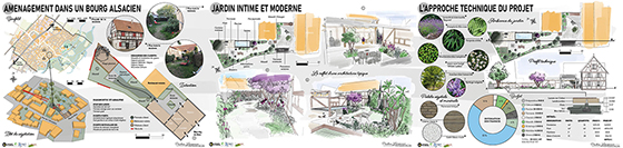 Projet réalisé par Pauline Lemonnier 2023-2024