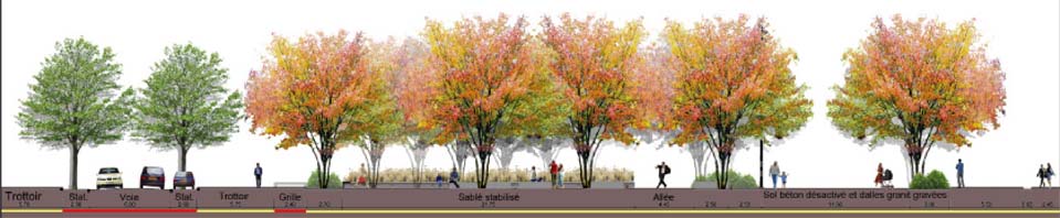 Travaux réalisé par un étudiant