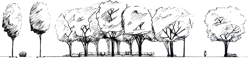 Travaux réalisé par un étudiant