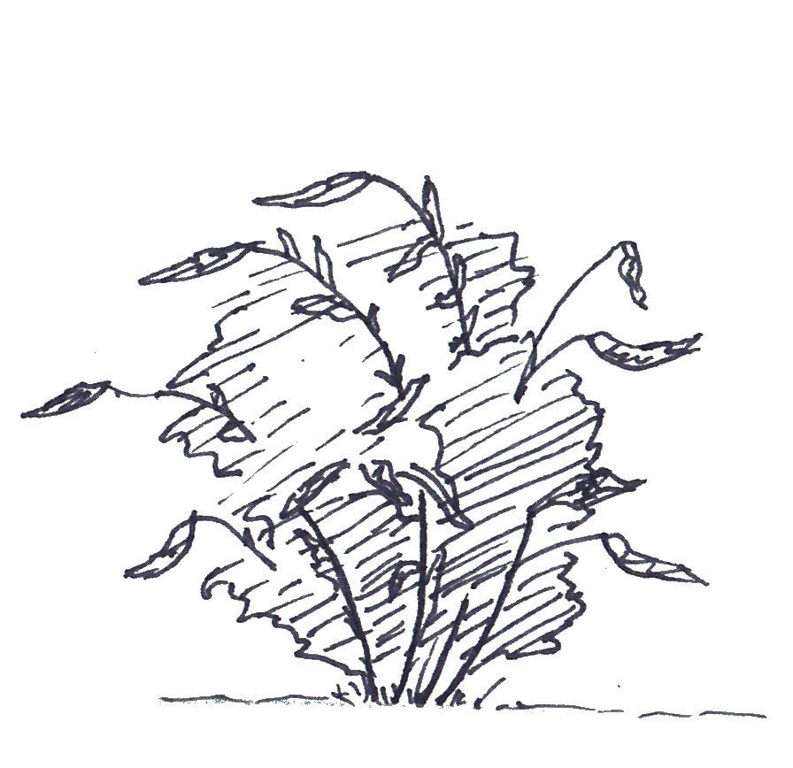 Travaux réalisé par un étudiant