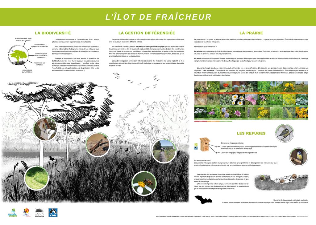 Travaux réalisé par un étudiant
