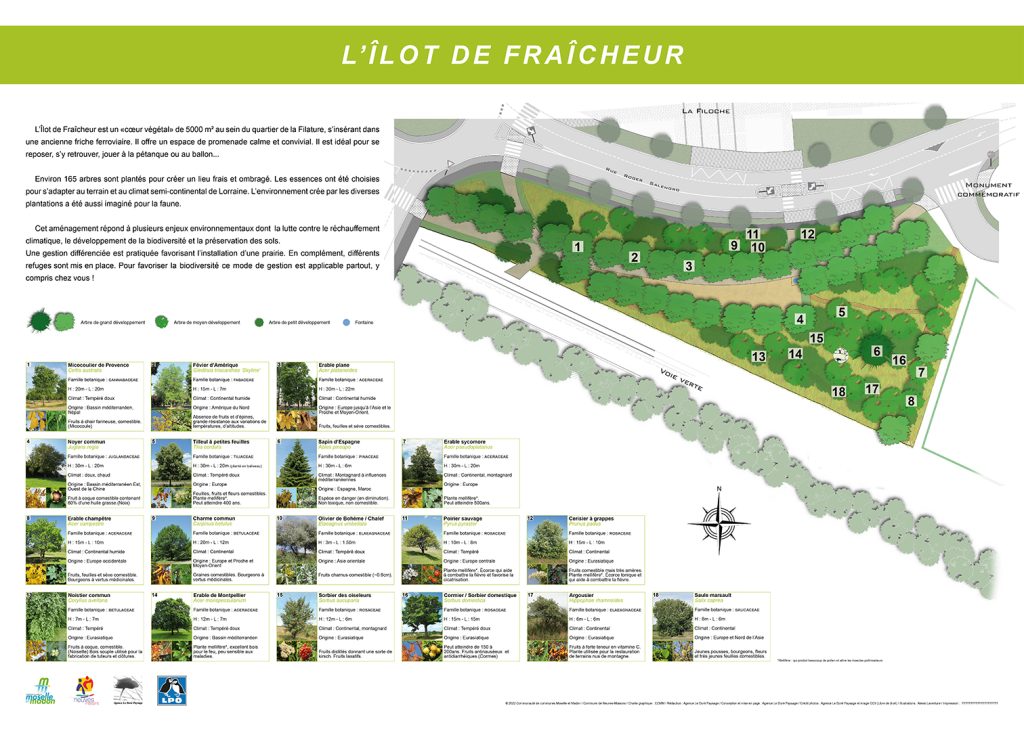 Travaux réalisé par un étudiant